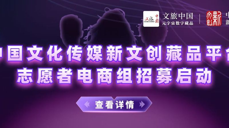 揭秘上海短视频代运营公司收费标准背后的秘密